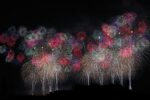 長岡花火2025