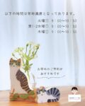 お花ねこ